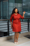 SA Rust Shirt Dress
