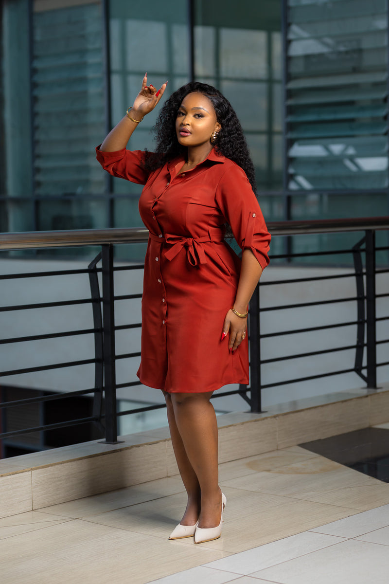 SA Rust Shirt Dress