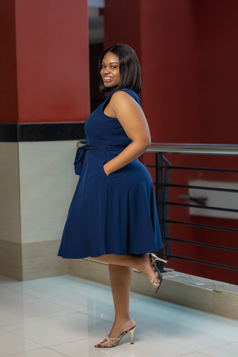 Sleeveless Navy Aline Dress